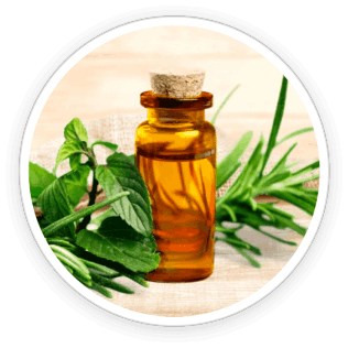 tea tree oil